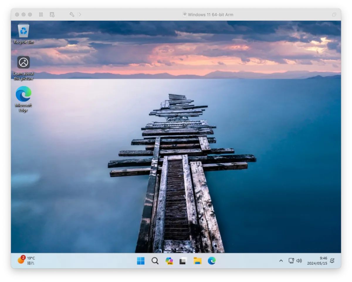 Windows 11 desktop inside VMware Fusion