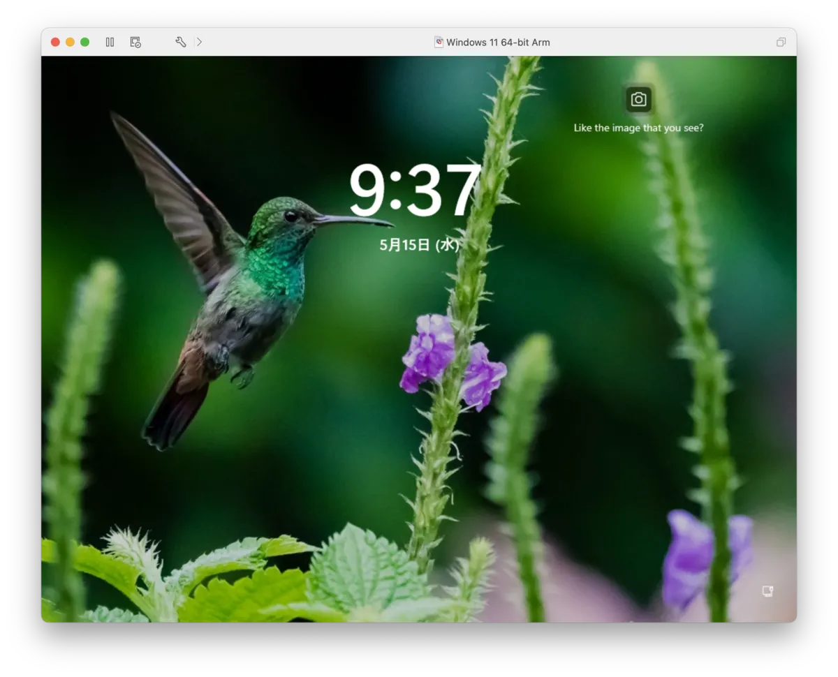 Windows 11 running in a VMware Fusion virtual machine